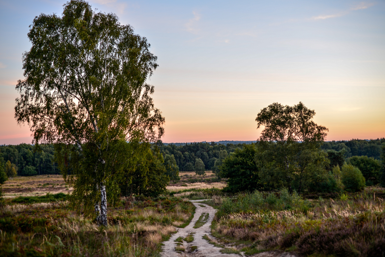 Telegrafen Heide