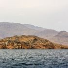 Telegraph Island im Khor Sham Fjord, Oman