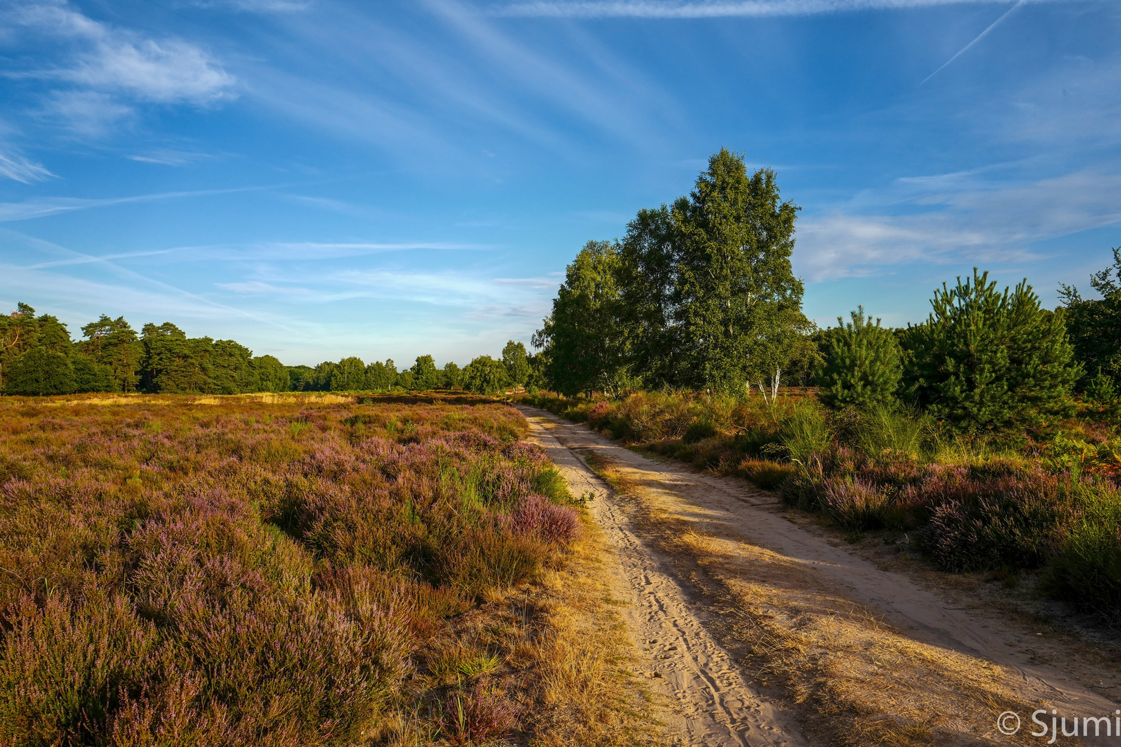 Telegraphen Heide