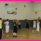 Telekom Baskets #6 Testspiel