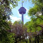 Telekom Turm im Grünen