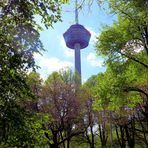 Telekom Turm im Grünen