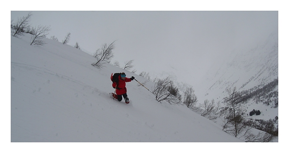 Telemark im Breheimen