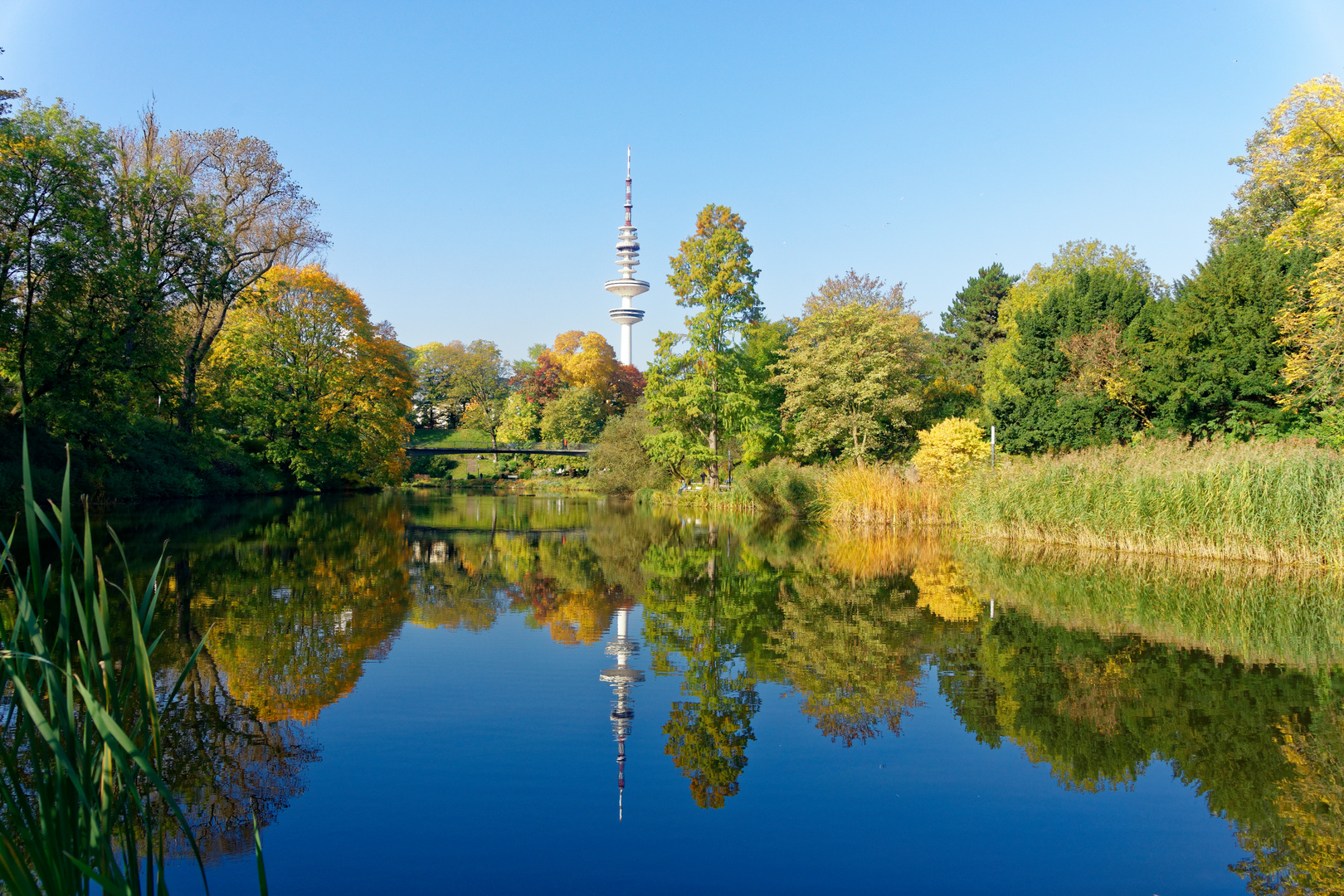 Telemichel im Herbst