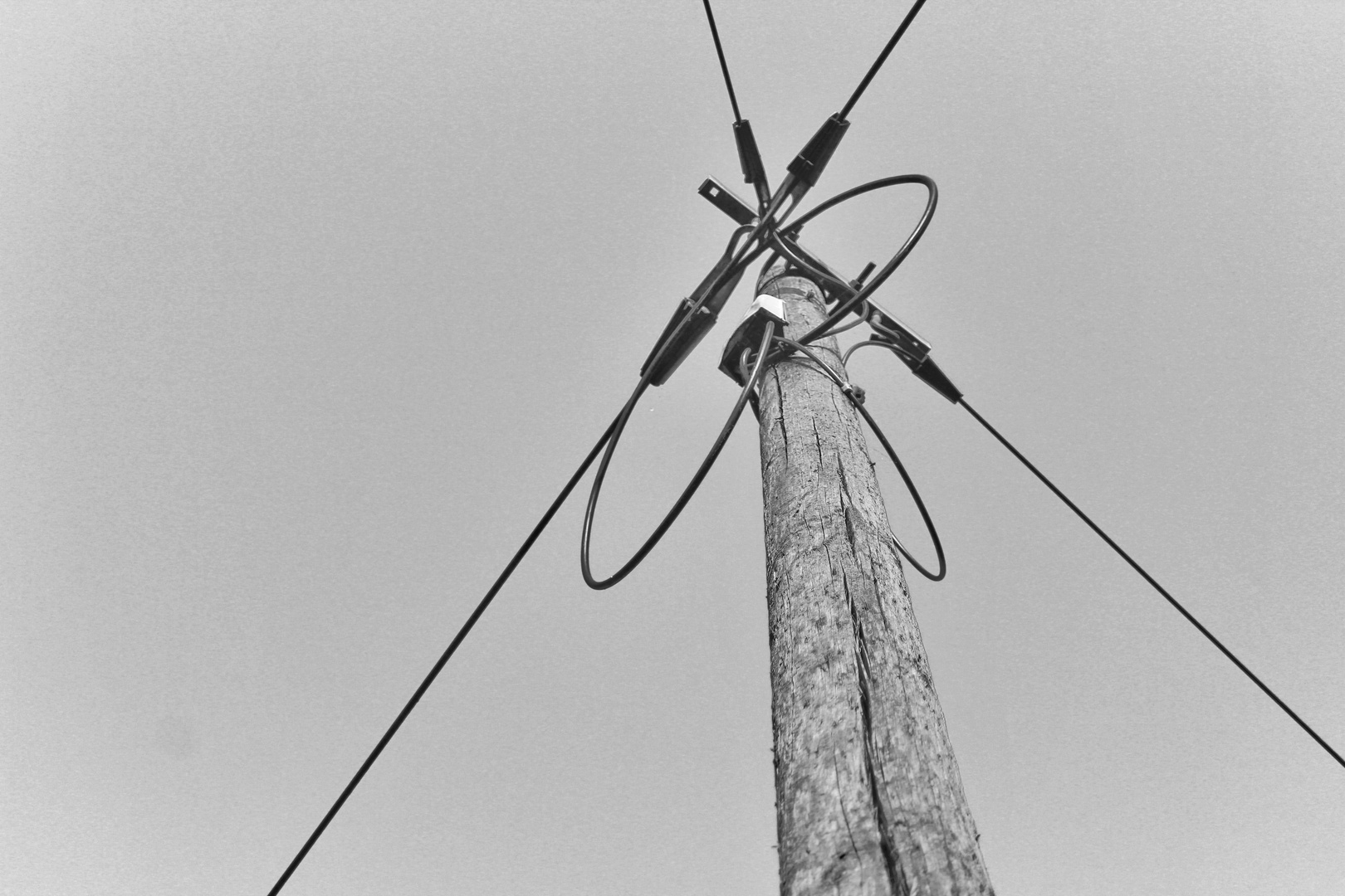 Telephone pole 1, Schirum, Germany. 2020