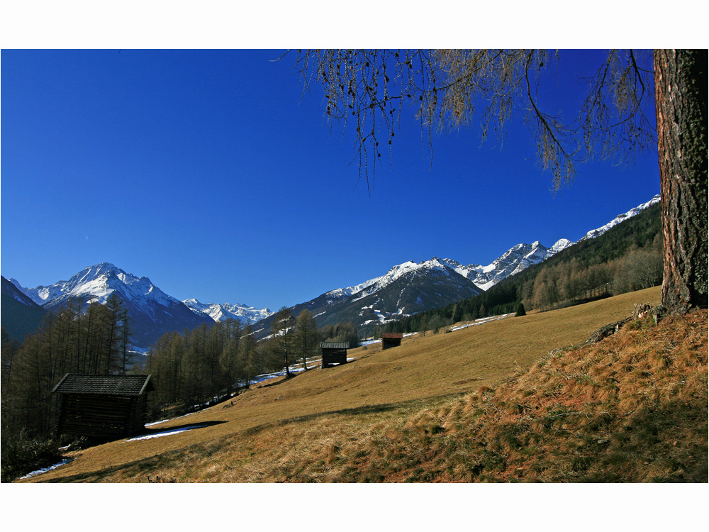 Telfeser Wiesen Stubaital-Panorama