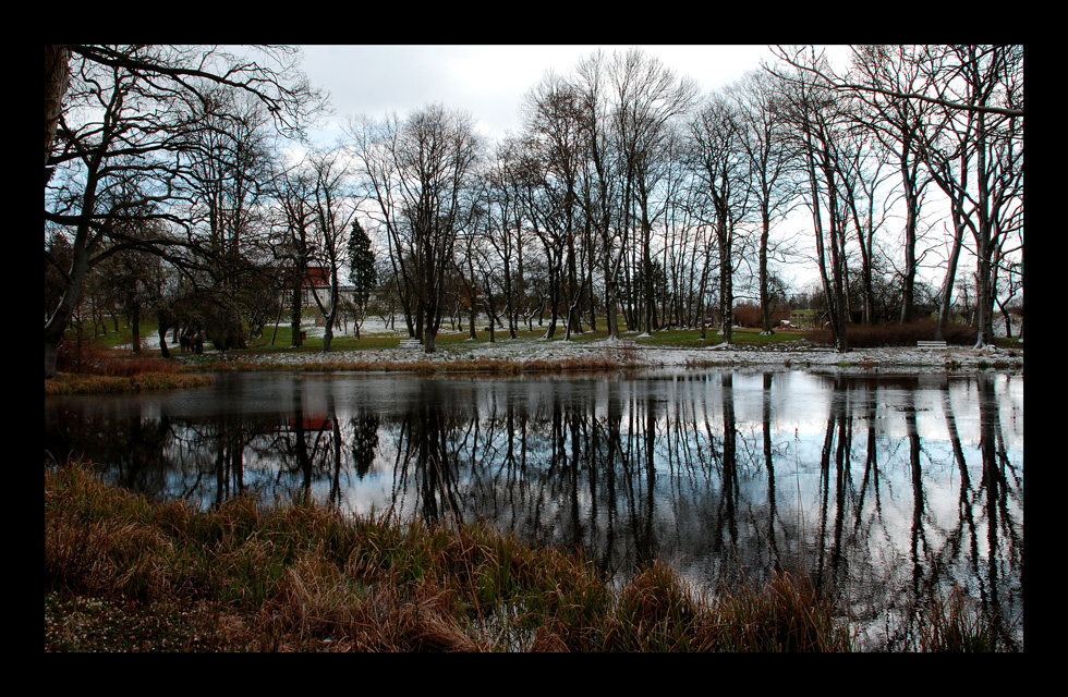 tellow im park