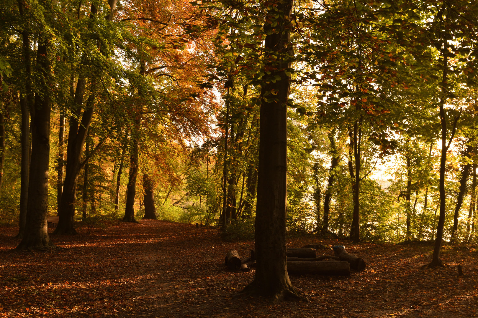 Teltow  Herbst