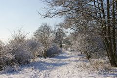 Teltow's WinterWonderland