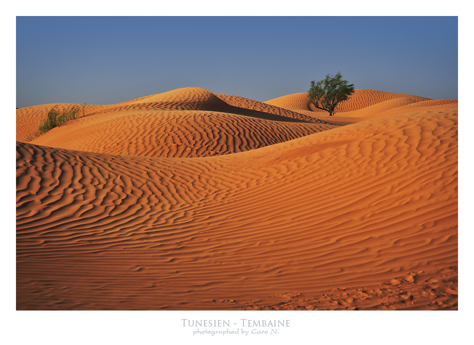 Tembaine-Tour VI