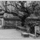 Tempel bei Hanoi - Vietnam