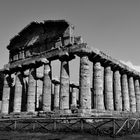 Tempel bei Paestum