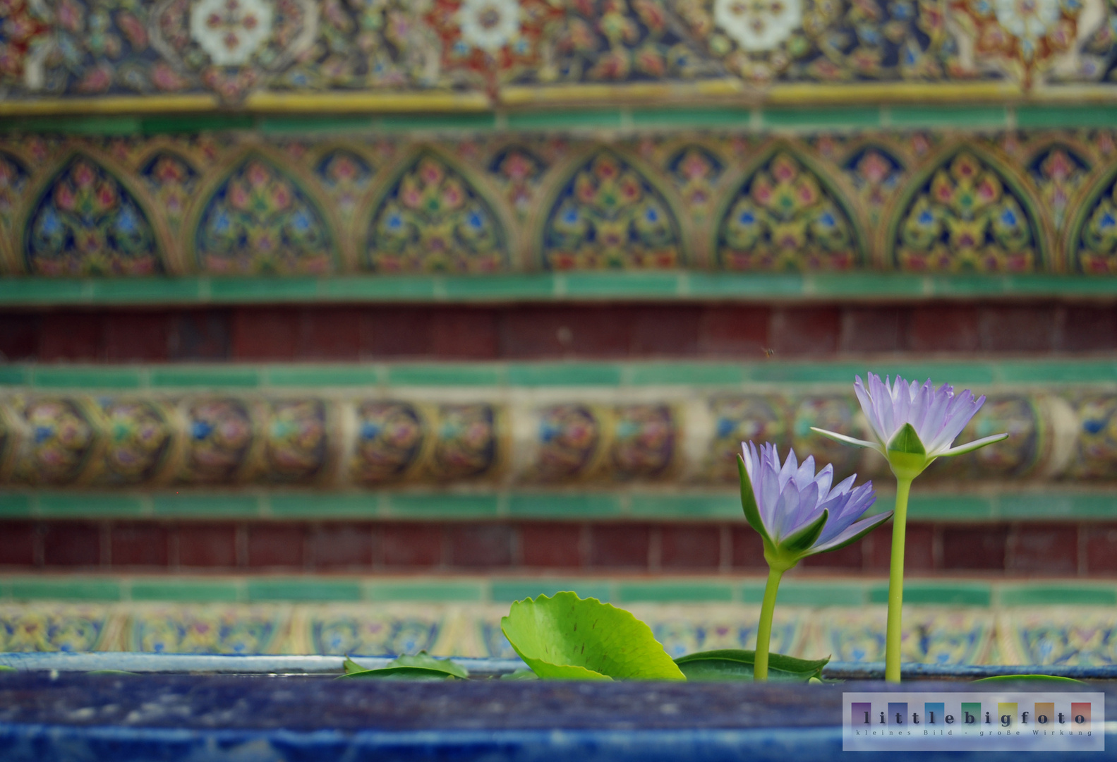 Tempel-Blüte Thailand