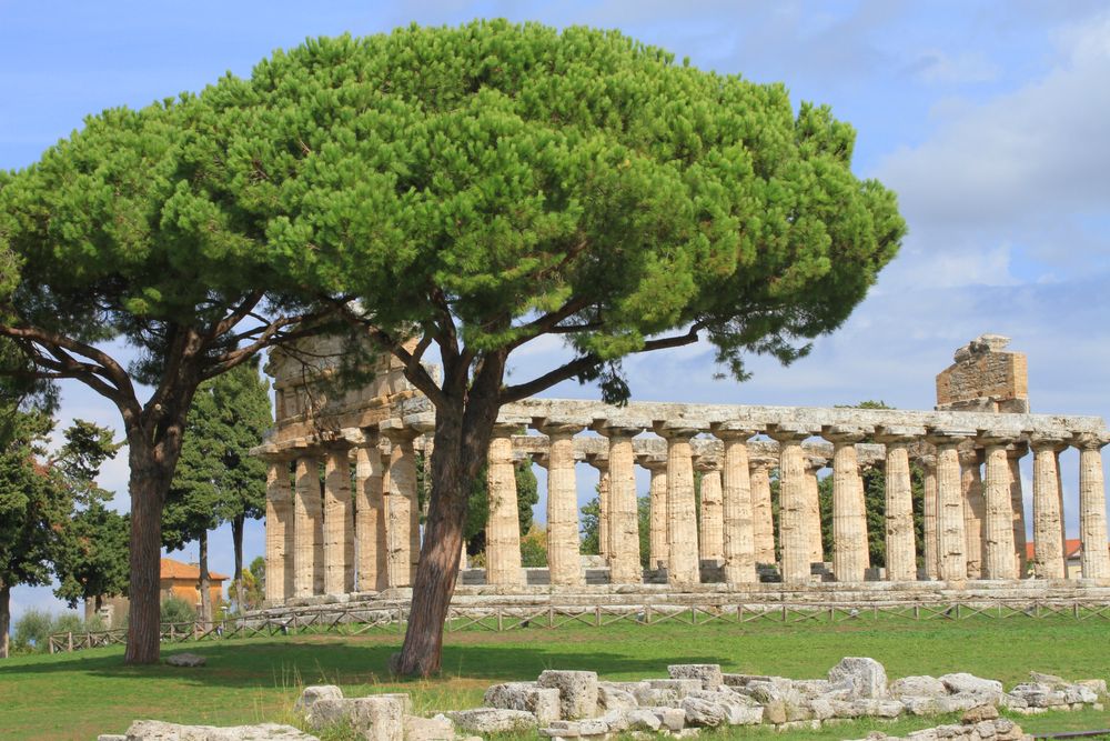 Tempel der Athene in Paestum