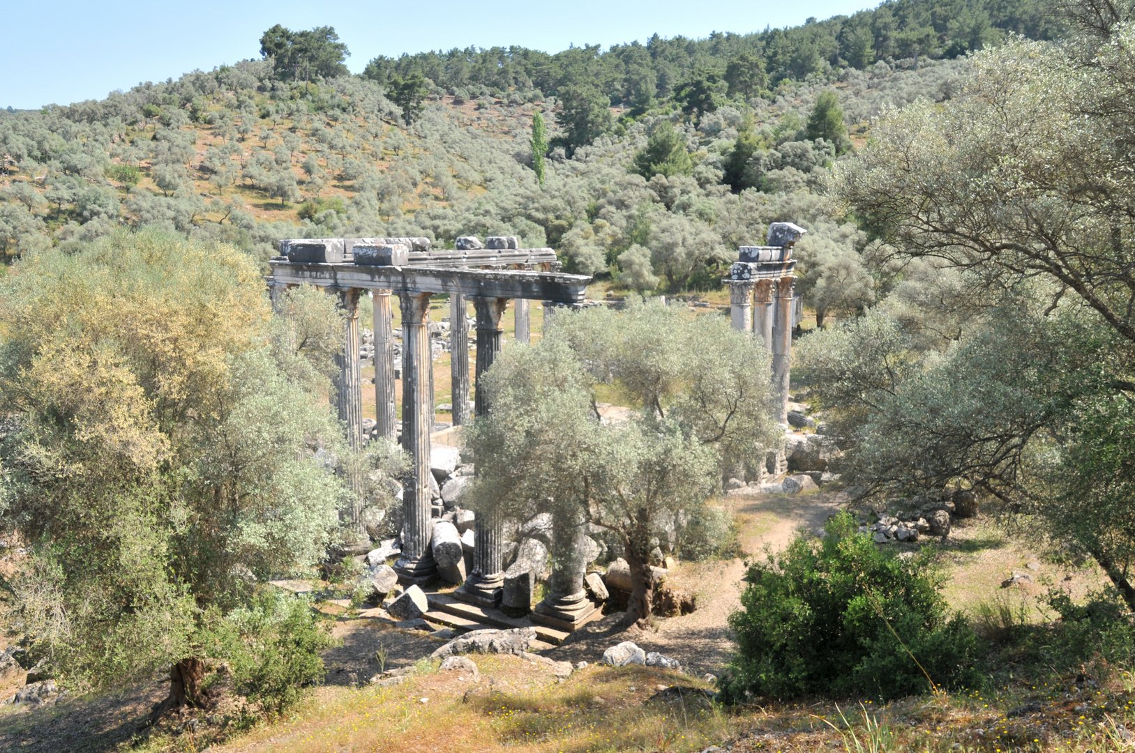 Tempel des Zeus Lepsimos