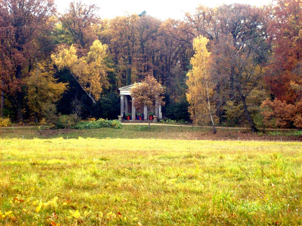 Tempel im Herbst von Soreena 