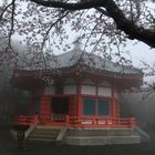 Tempel im Nebel