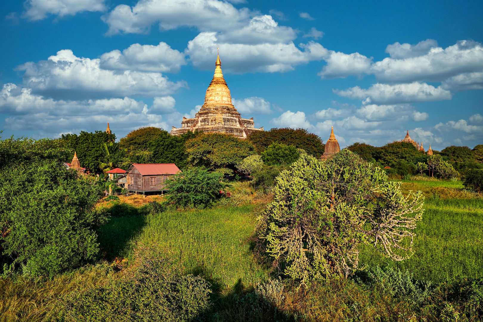 Tempel in grüner Landschaft