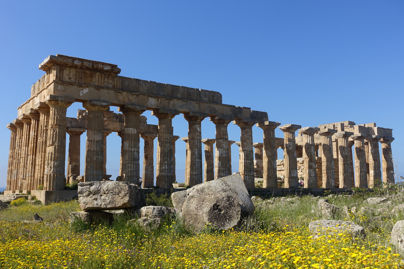 Tempel in Selinunt / Sizilien