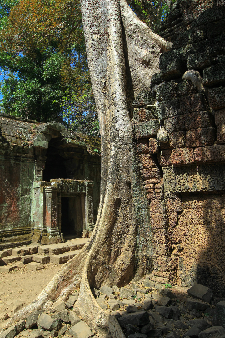 Tempel mit Baum 2