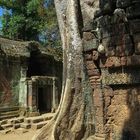 Tempel mit Baum 2