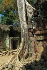 Tempel mit Baum 2