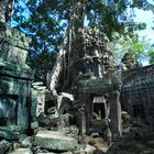 Tempel mit Baum 4