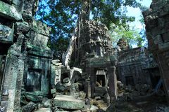 Tempel mit Baum 4