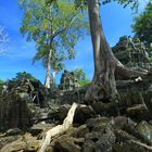 Tempel mit Baum