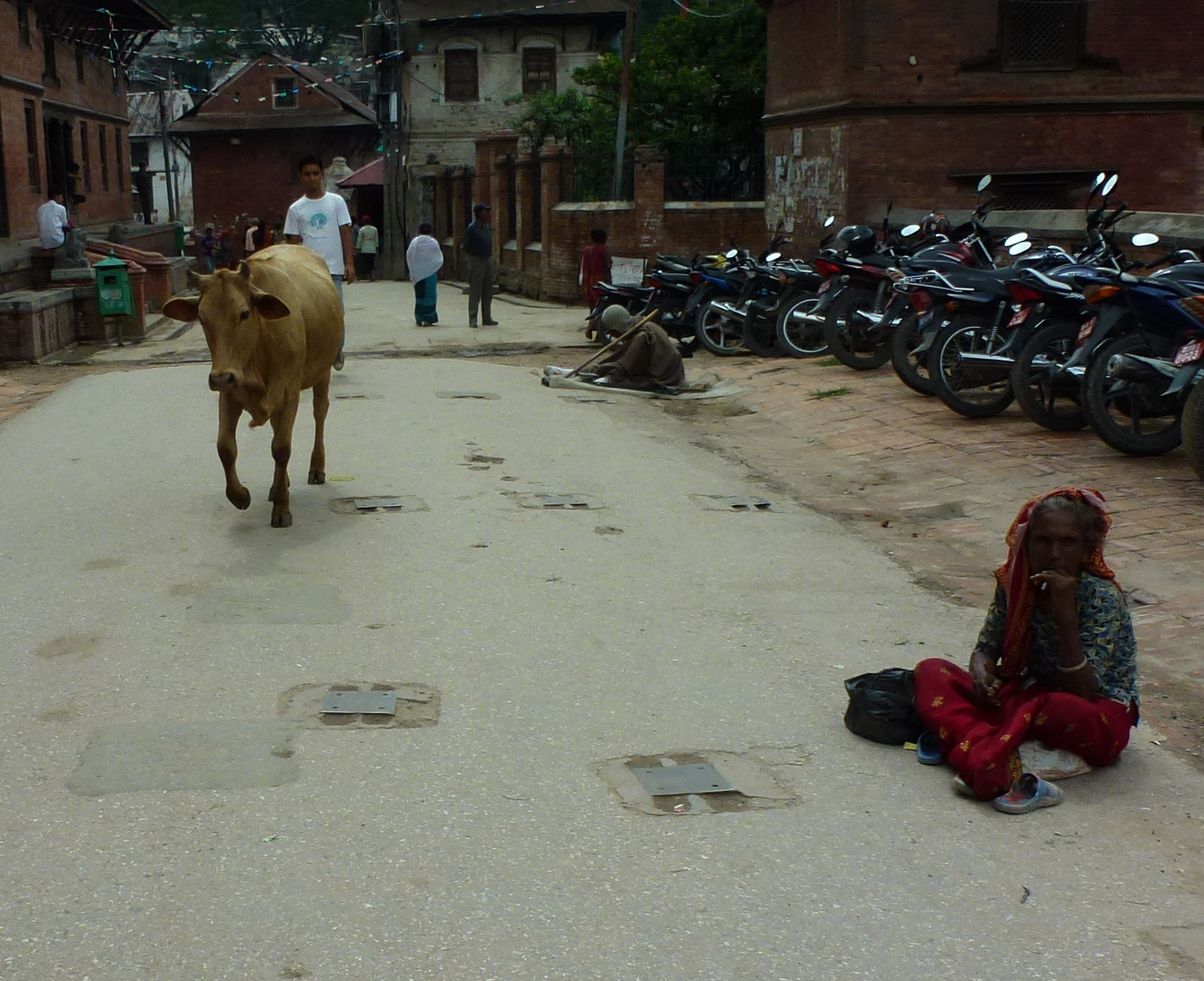 Tempel Pashupatinath, Kathmandu, Leprakranker, Heilige Kuh