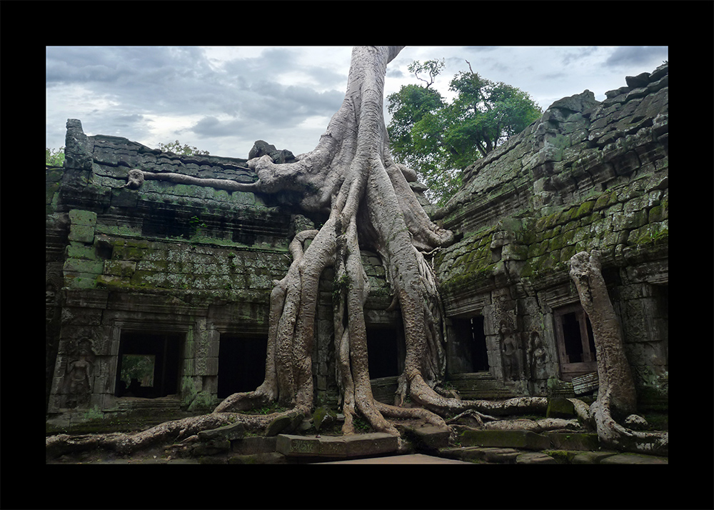 Tempel Ta Prohm Angkor
