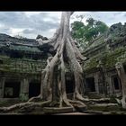 Tempel Ta Prohm Angkor