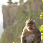 Tempel Uluwatu Bali 