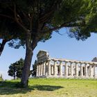 Tempel von Paestum