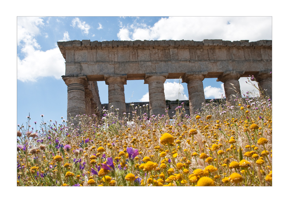 Tempel von Segesta