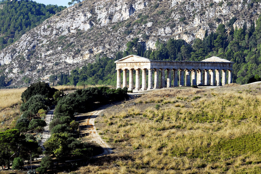 Tempel von Segesta