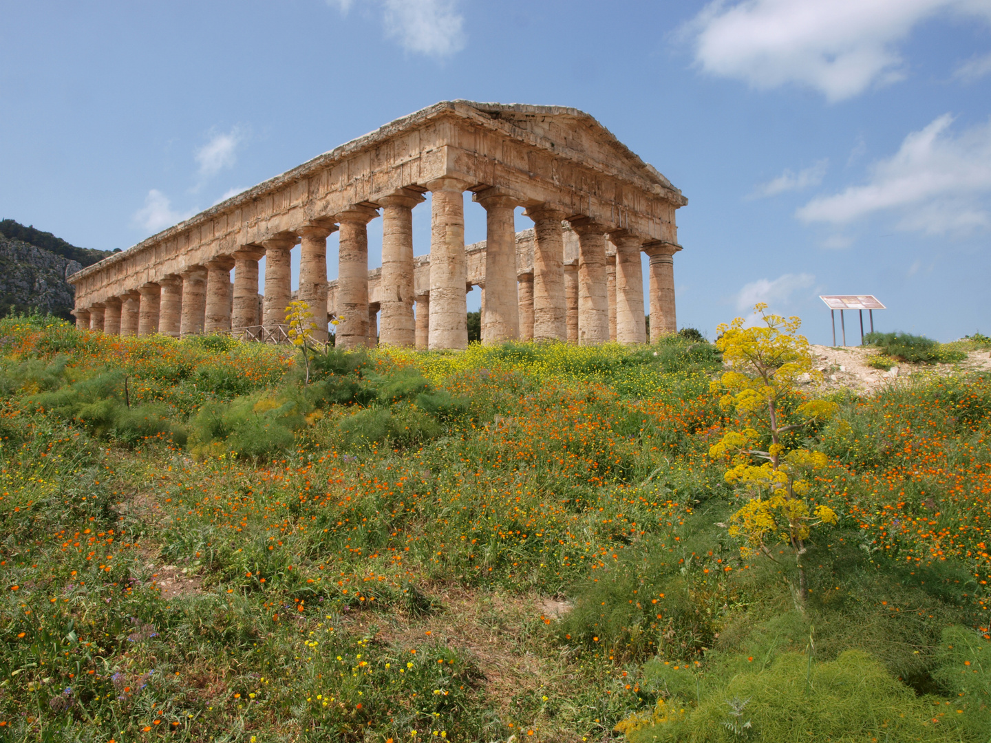 Tempel von Segesta im Frühling