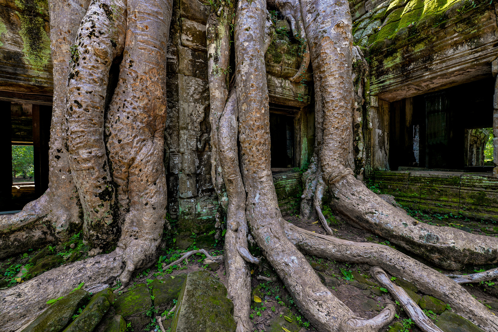 Tempelanlage von Ta Prohm 02