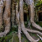 Tempelanlage von Ta Prohm 02