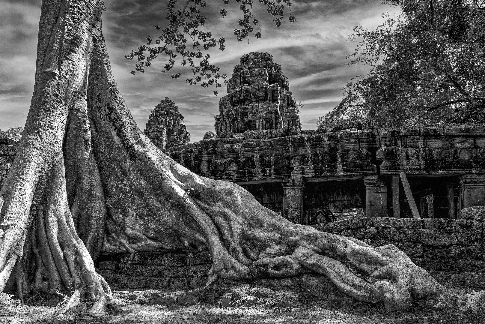 Tempelanlage von Ta Prohm 03