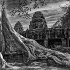 Tempelanlage von Ta Prohm 03