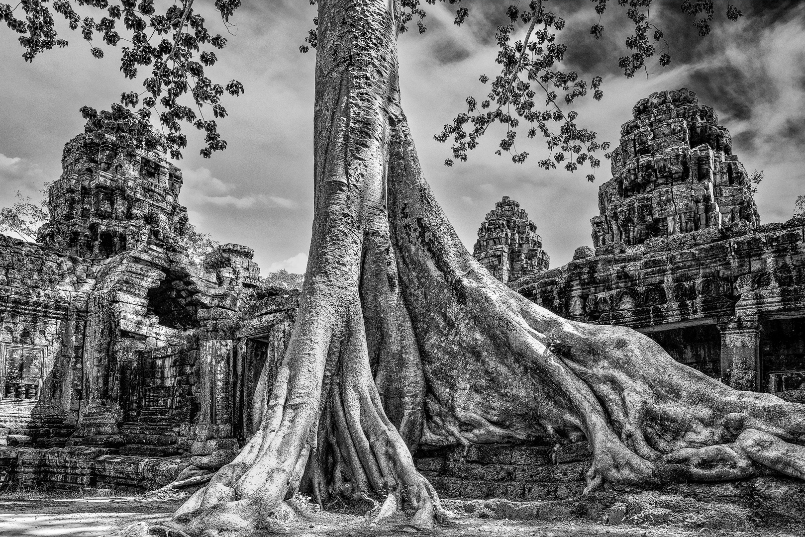 Tempelanlage von Ta Prohm 05