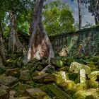 Tempelanlage von Ta Prohm 07