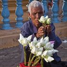 Tempelblumenverkäufer an der Uferpromenade, Phnom Penh, Kambodscha