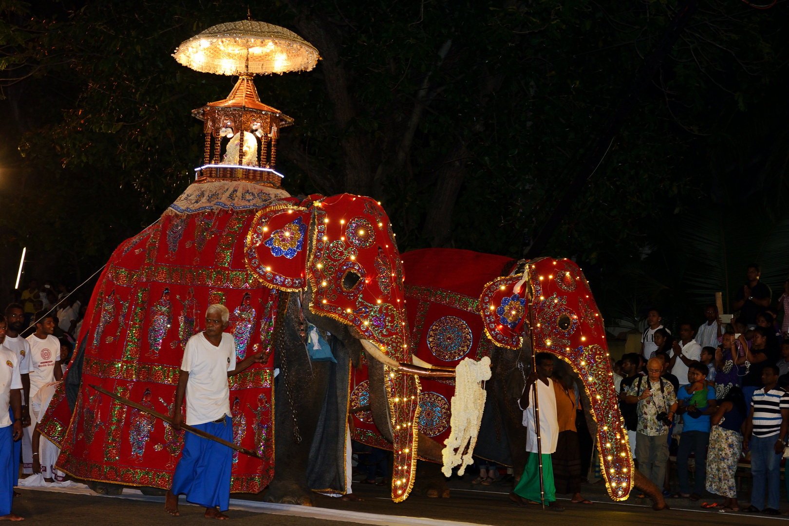 Tempelelefant beim Navam Perahera 1