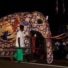 Tempelelefant beim Navam Perahera 2