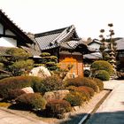 Tempelgarten in Kyoto (MW 1997/2  - jn)