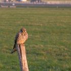 Tempelhof am Morgen