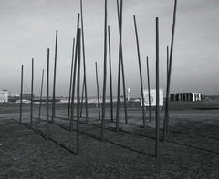 Tempelhofer Feld 2011 II