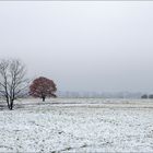 Tempelhofer Feld....